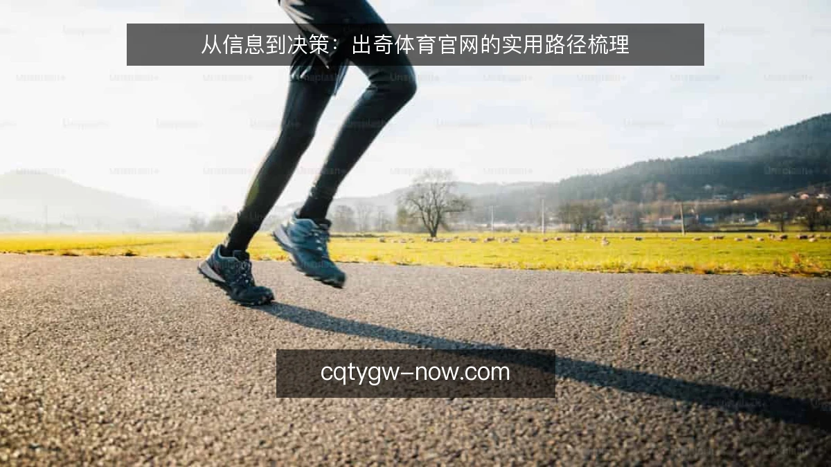 从信息到决策：出奇体育官网的实用路径梳理
