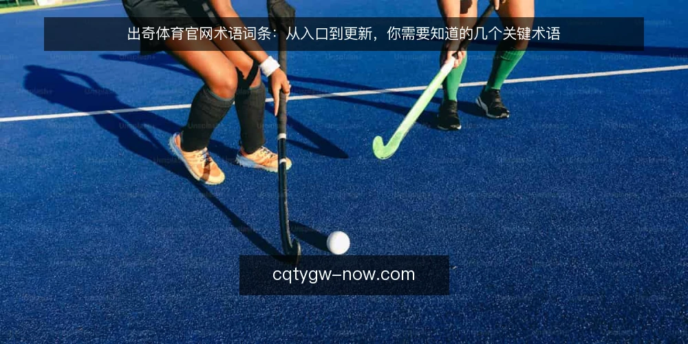 出奇体育官网术语词条：从入口到更新，你需要知道的几个关键术语 — 为什么现在要审计信息获取路径 配图