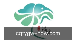 出奇体育官网