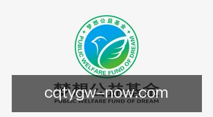 出奇体育官网
